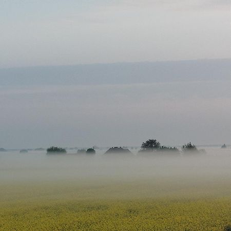 Bed and Breakfast Tropikalna Odnowa Falkowo Екстер'єр фото