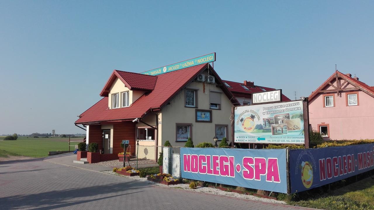 Bed and Breakfast Tropikalna Odnowa Falkowo Екстер'єр фото